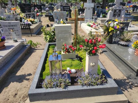 Michał SZCZEPAŃSKI 1962 Karlino - Grobonet - Wyszukiwarka osób pochowanych