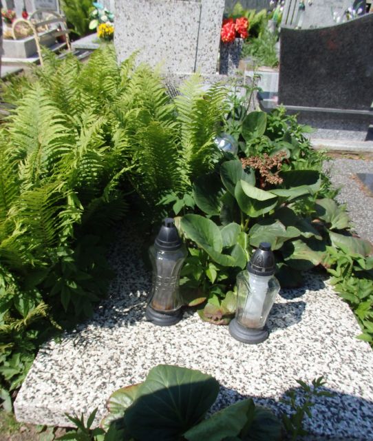 Eugeniusz WALENTYNOWICZ 1906 Karlino - Grobonet - Wyszukiwarka osób pochowanych